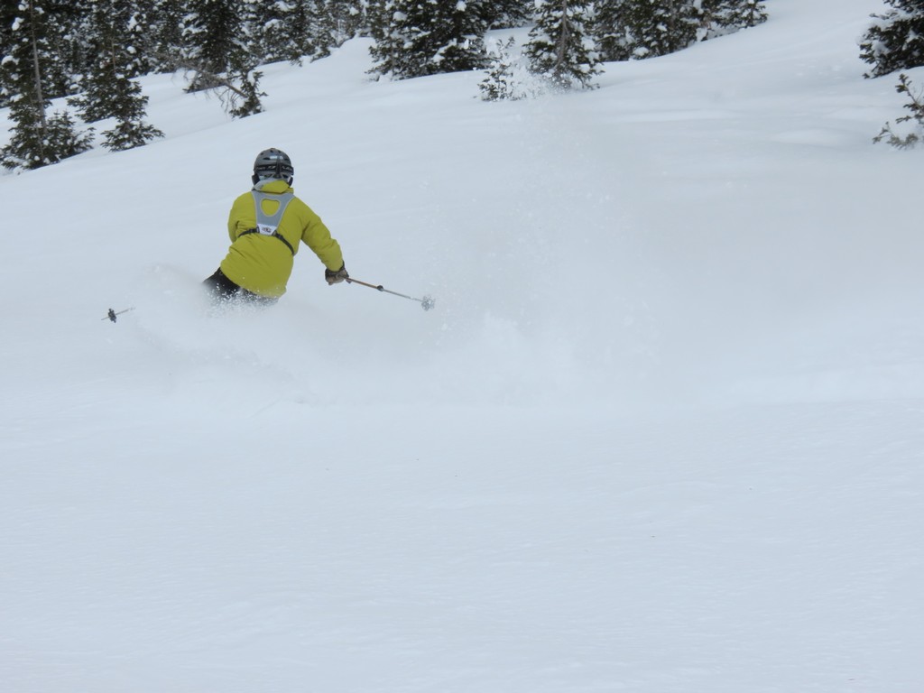 IMG_1733.JPG