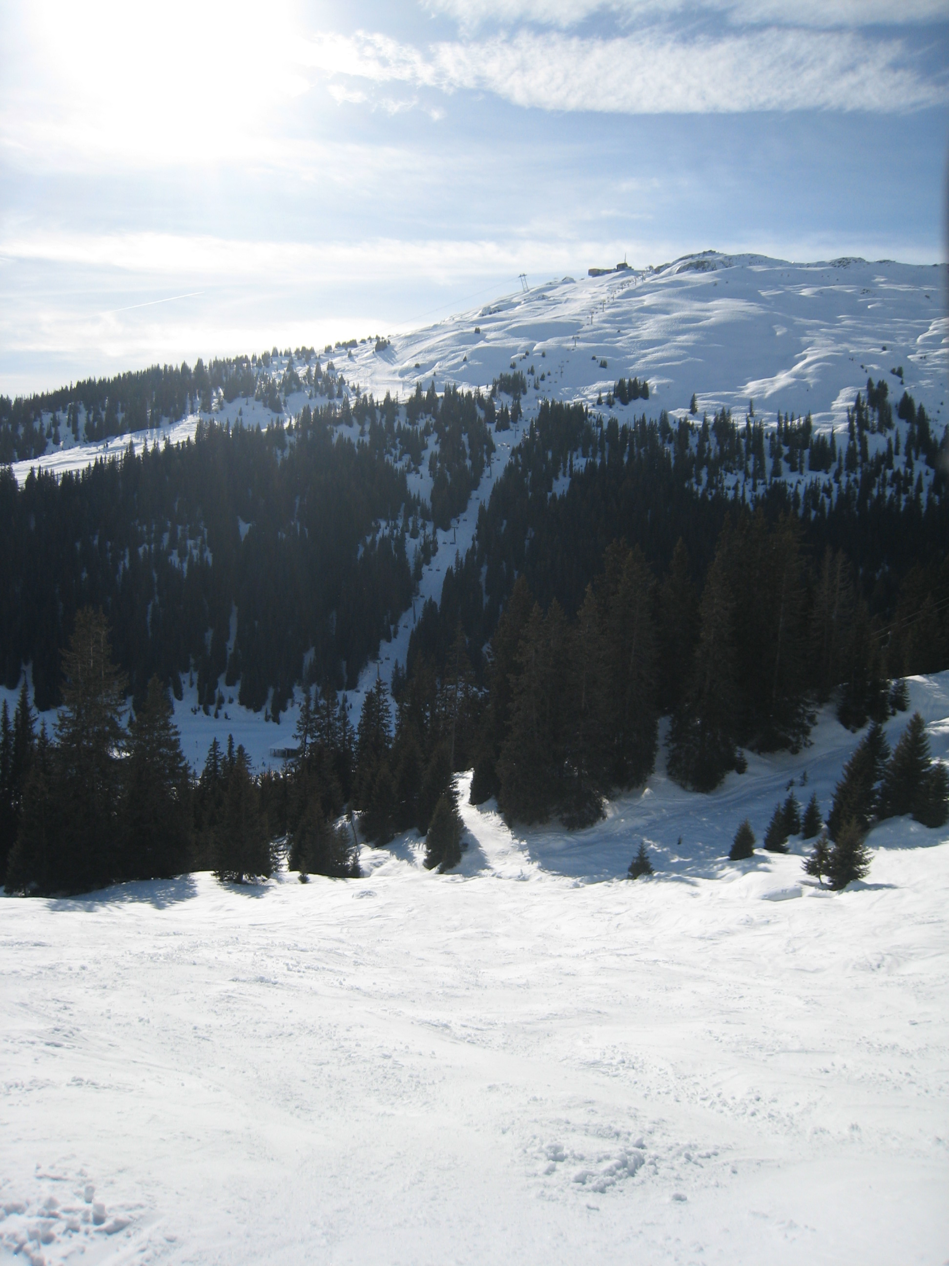 IMG_2343.JPG