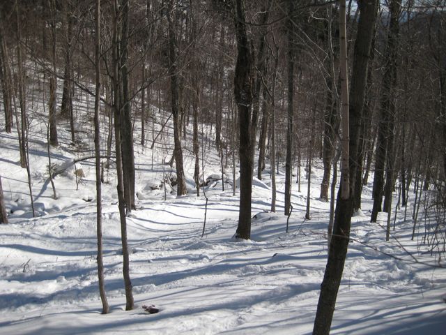 IMG_3131.jpg