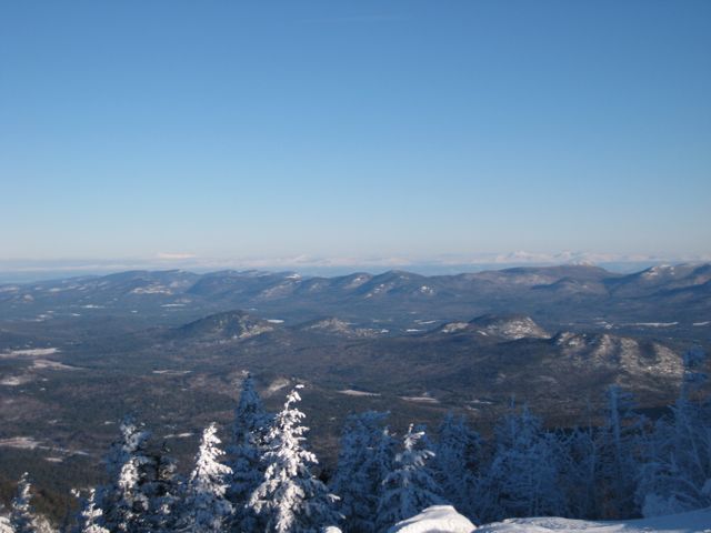 IMG_3137.jpg