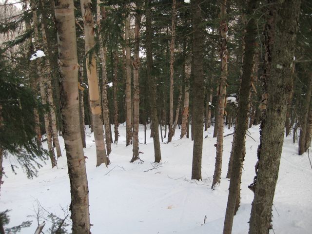 IMG_3143.jpg