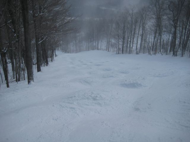 IMG_3145.jpg