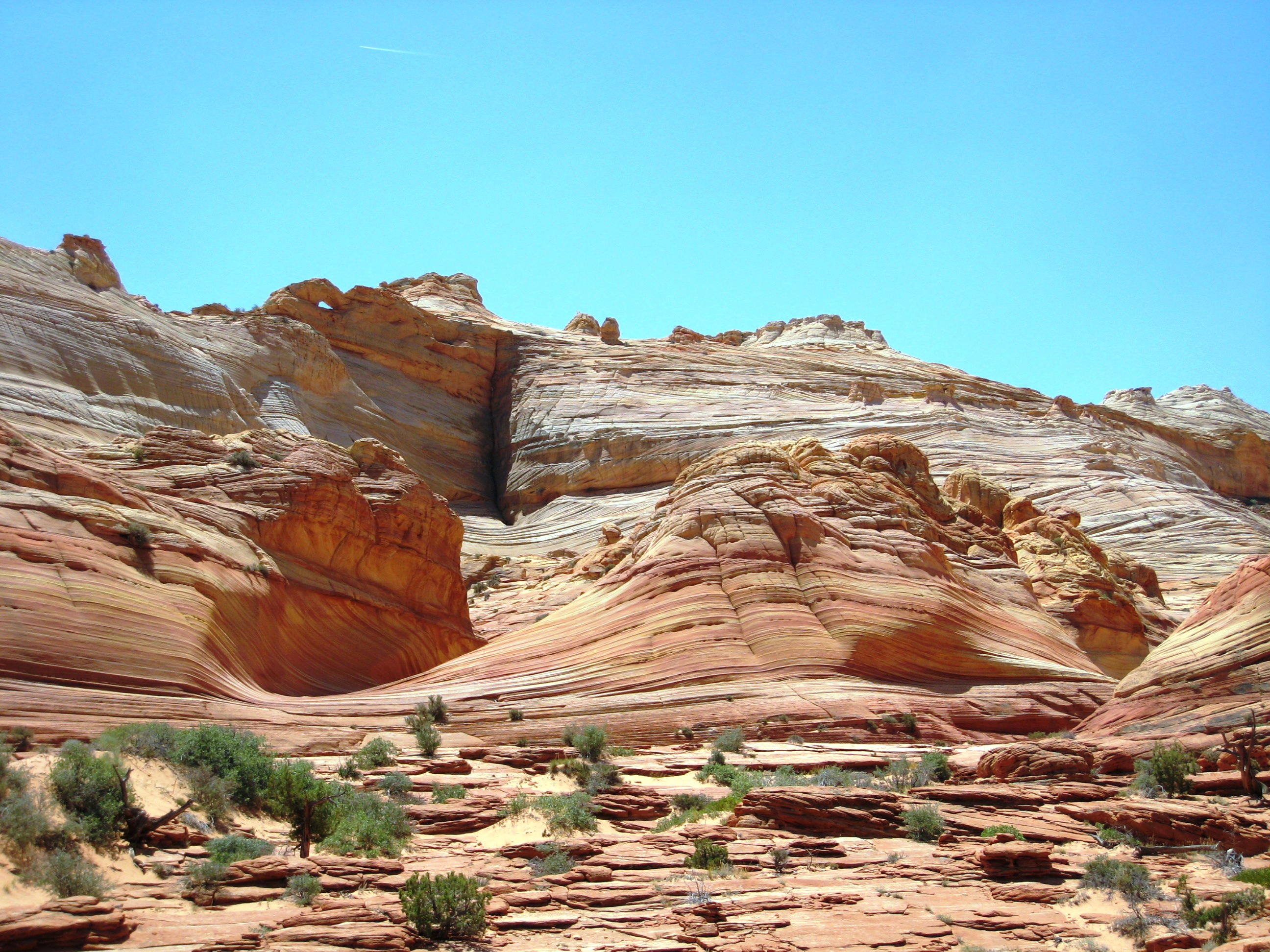 IMG_3256a.JPG