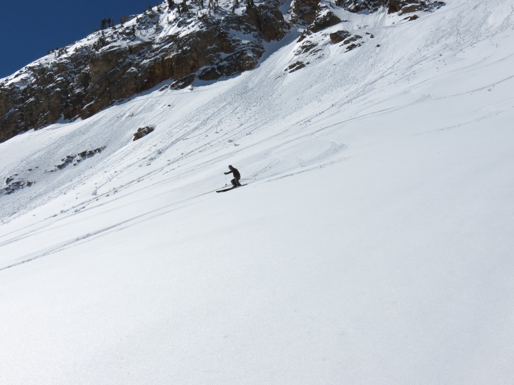 IMG_3515.JPG