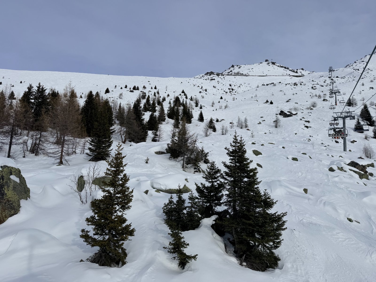 IMG_3616.jpeg
