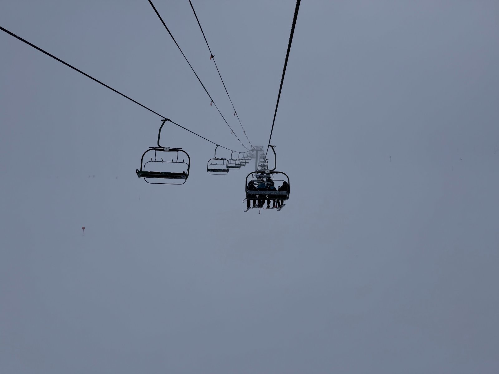 IMG_3731.jpeg