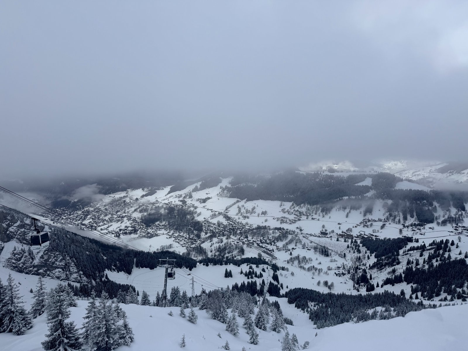 IMG_3743.jpeg