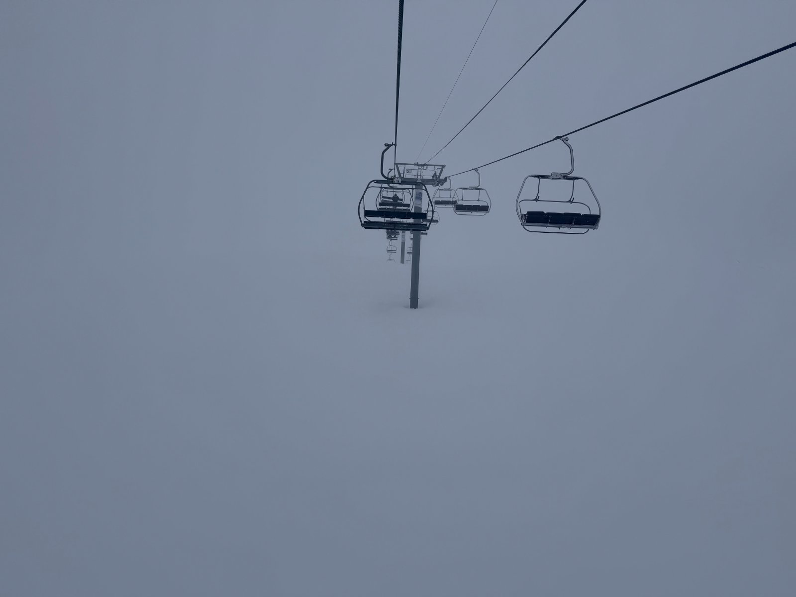 IMG_3748.jpeg