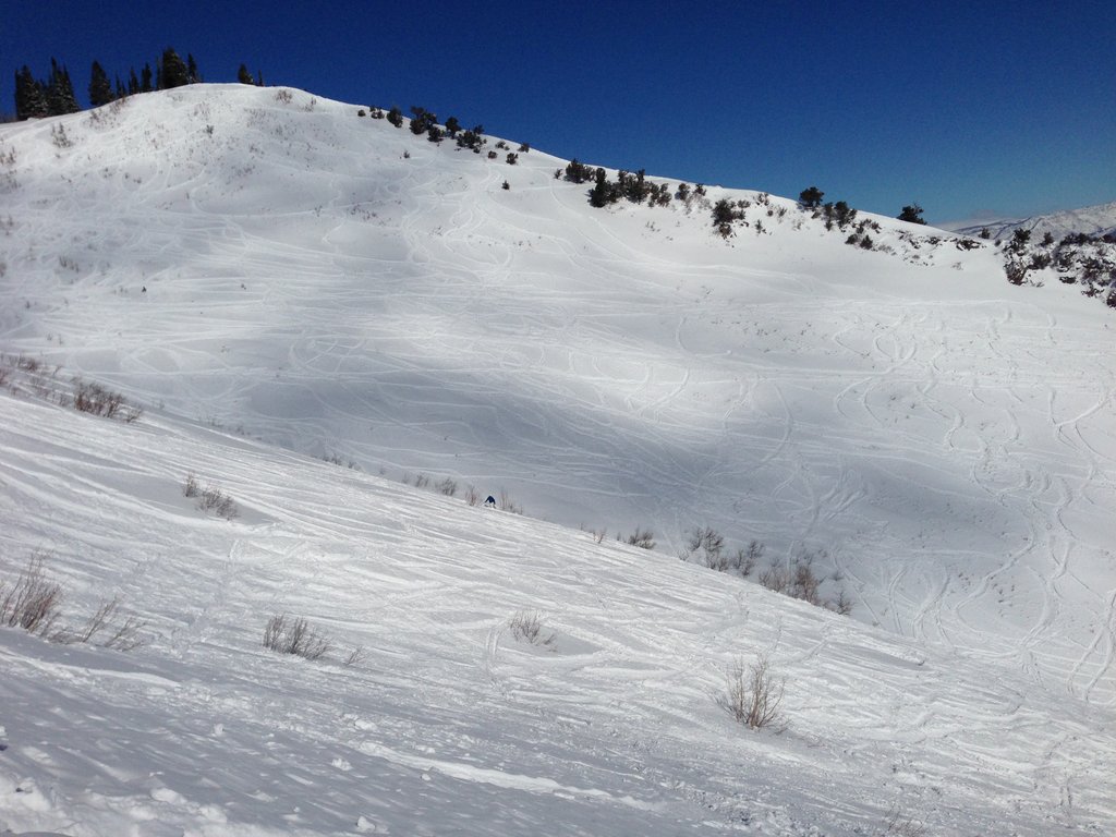 IMG_3757.JPG