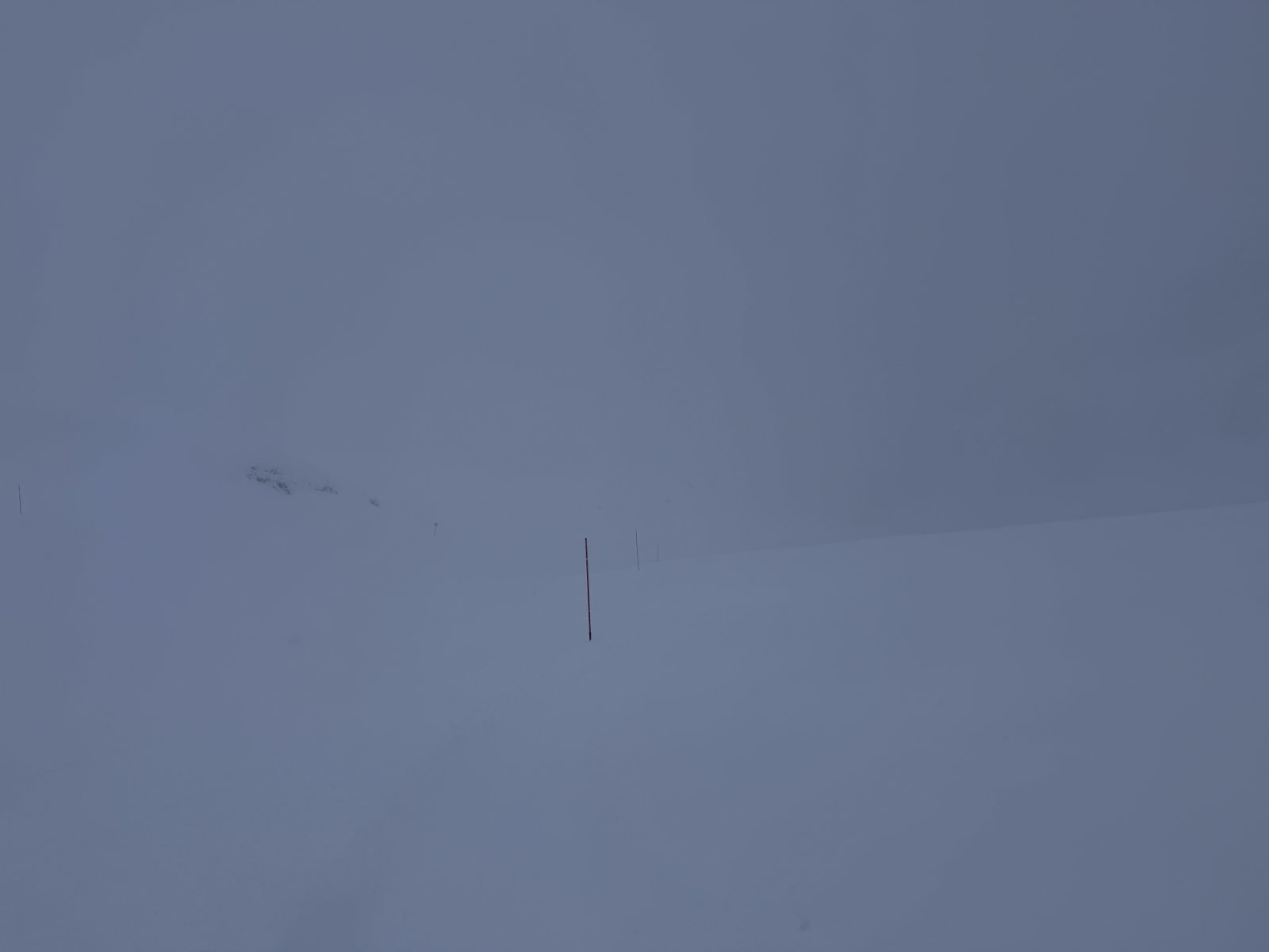 IMG_3758.jpeg