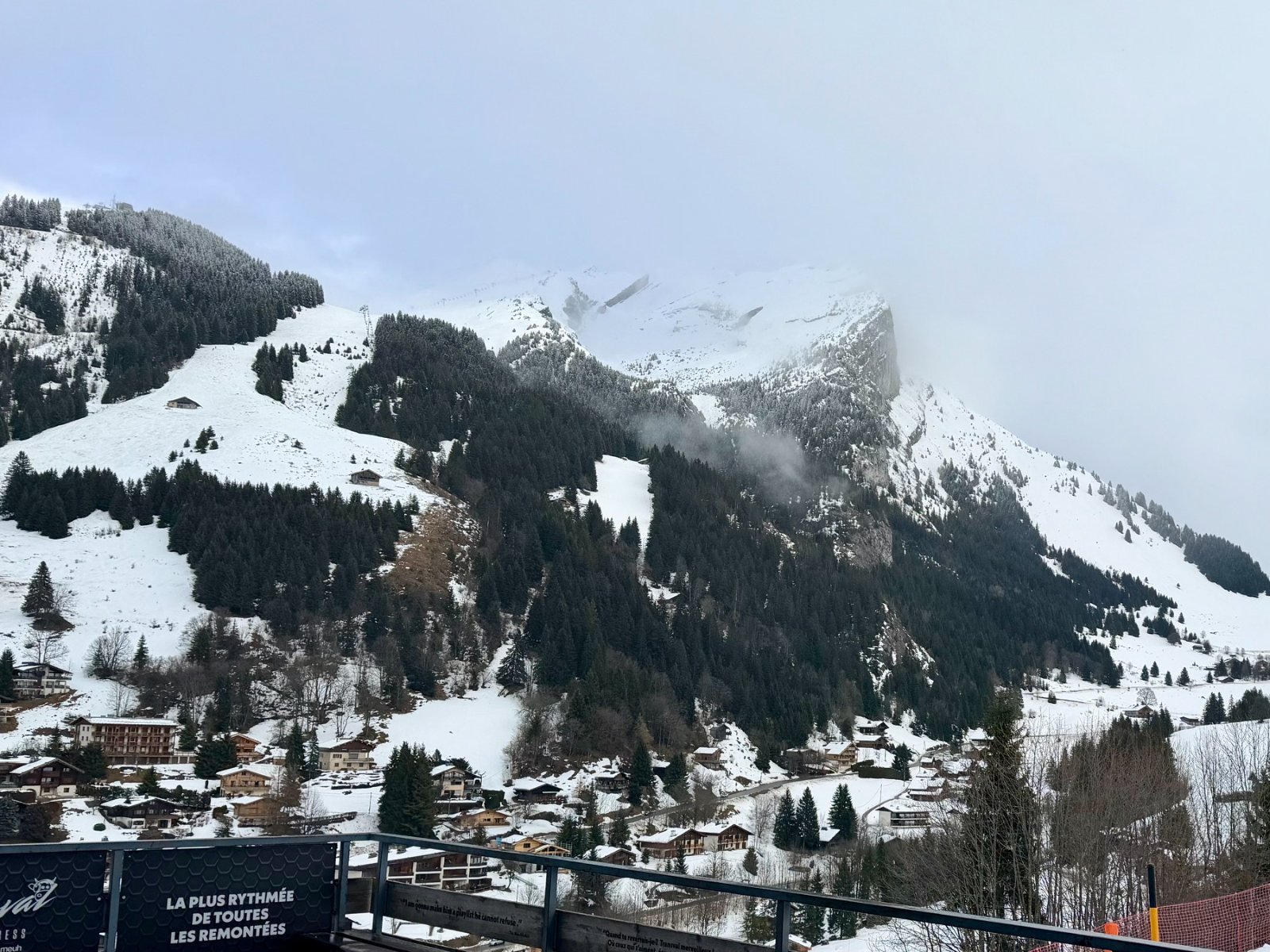 IMG_4087.jpeg