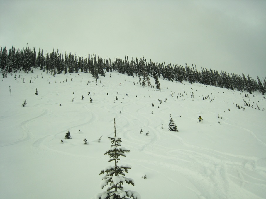 IMG_4119.JPG