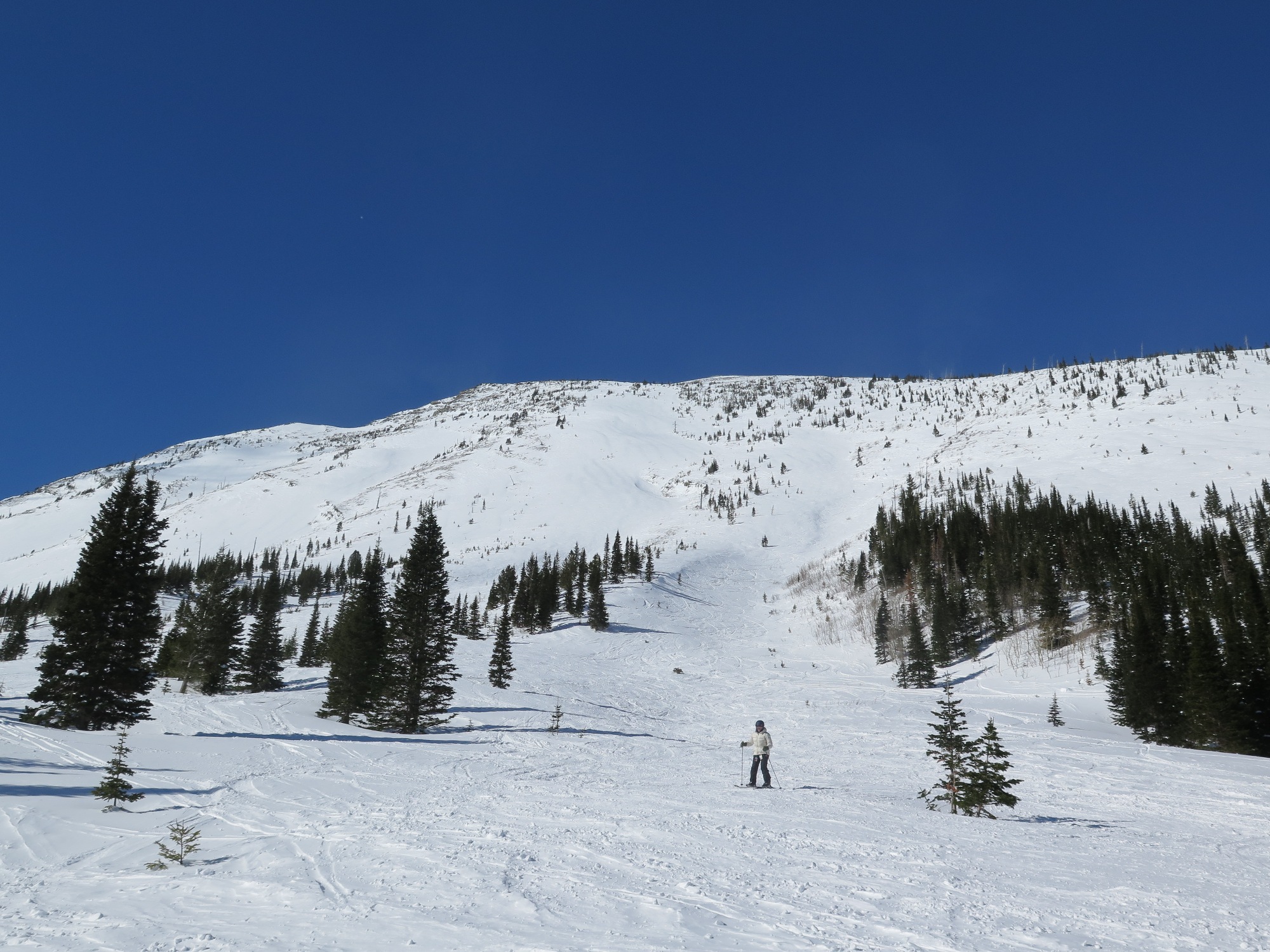 IMG_4200.JPG