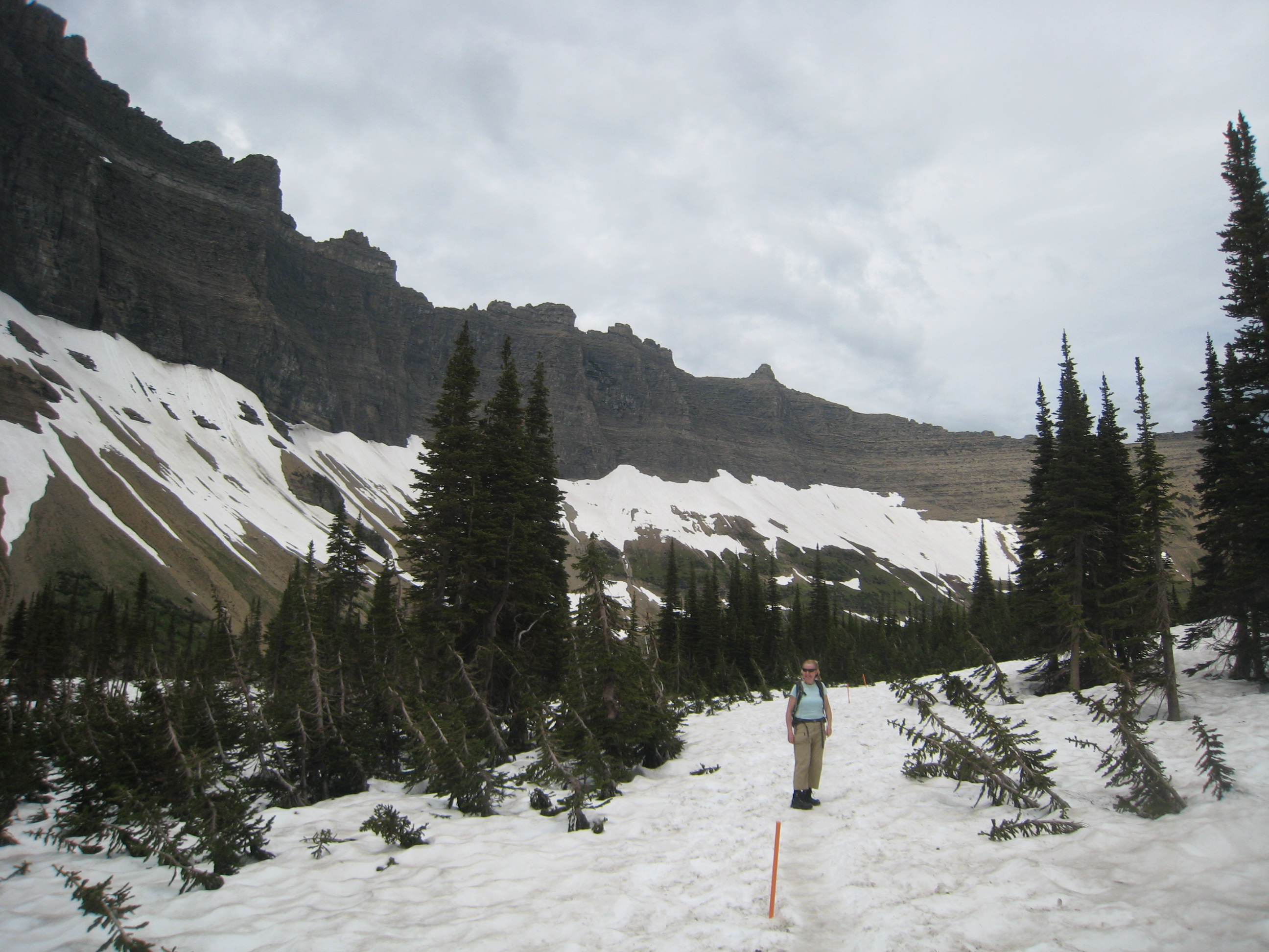 IMG_4247.JPG