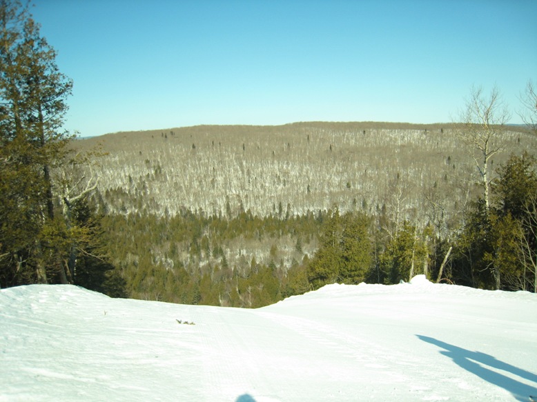 IMG_4368.JPG