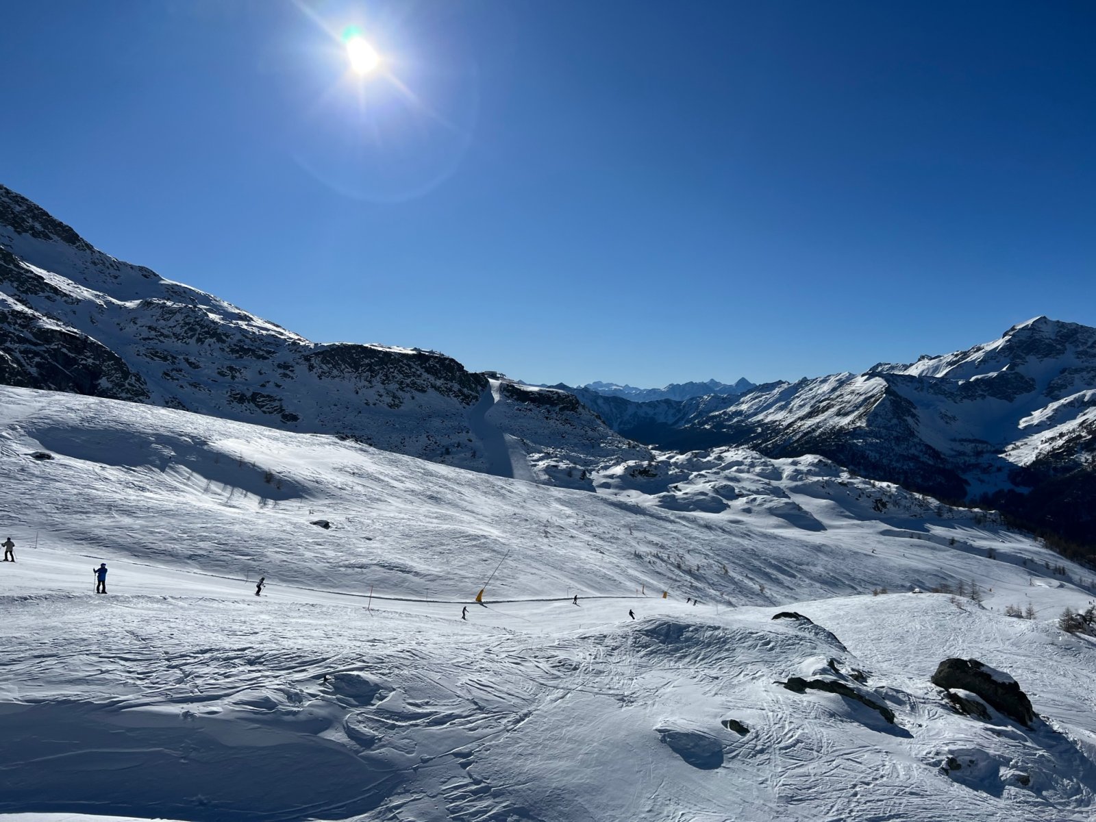 IMG_4474.jpg