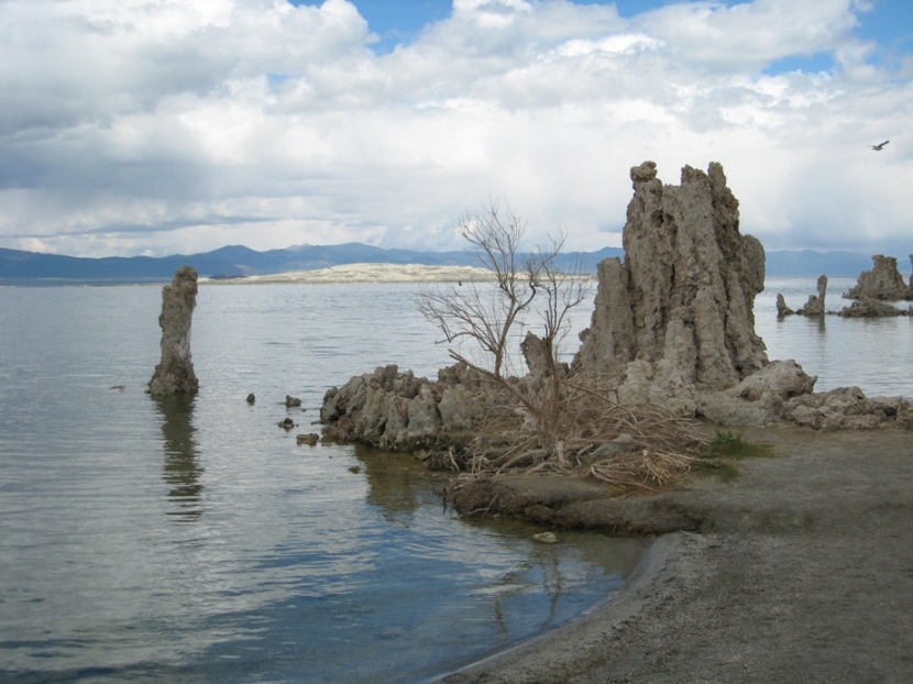 IMG_4629.JPG