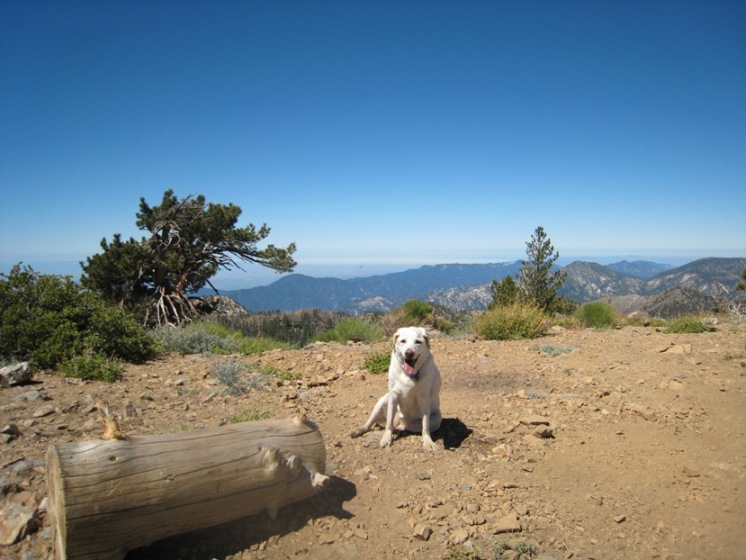 IMG_4714.JPG IMG_4714.JPG