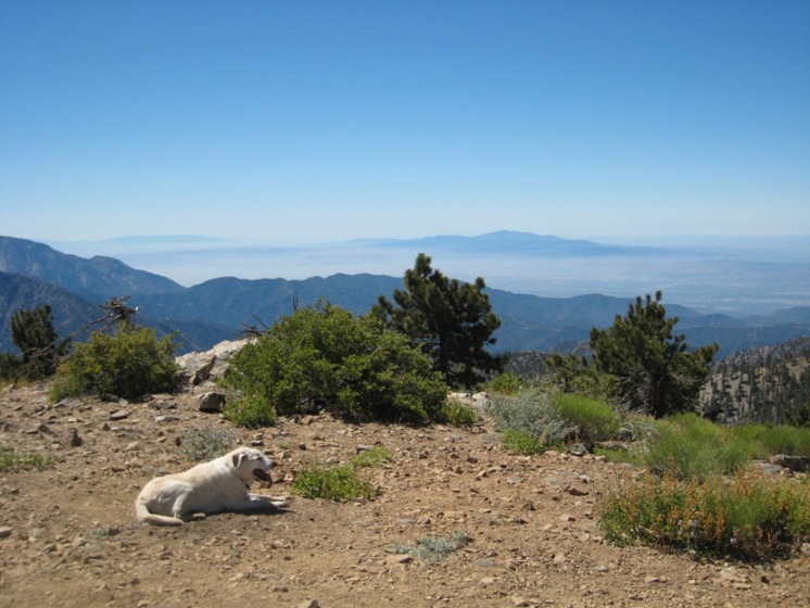 IMG_4721.JPG IMG_4721.JPG