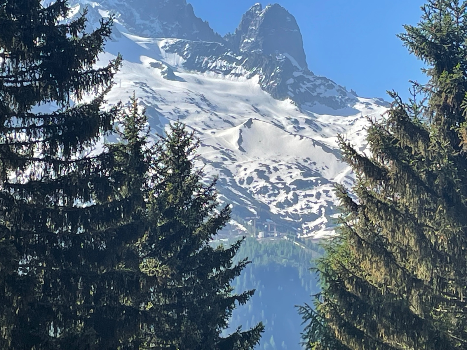 IMG_4879.jpeg
