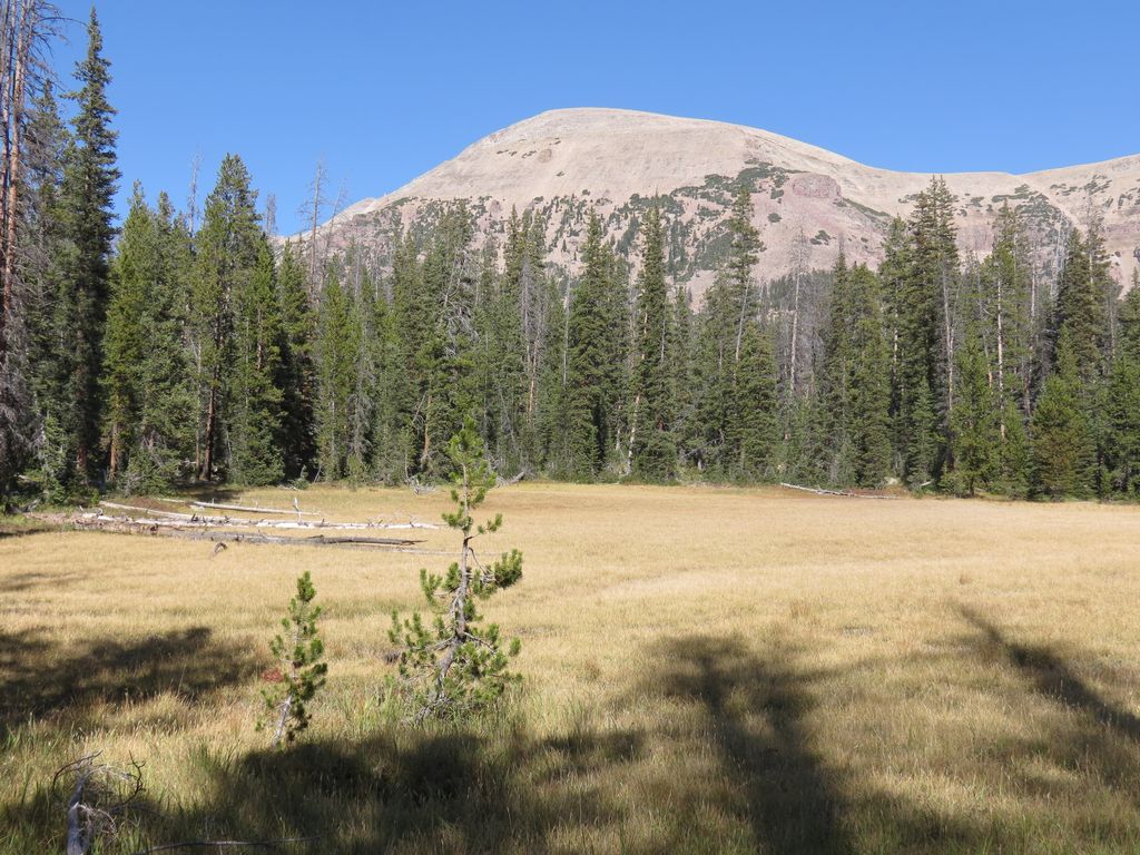 IMG_5025.JPG