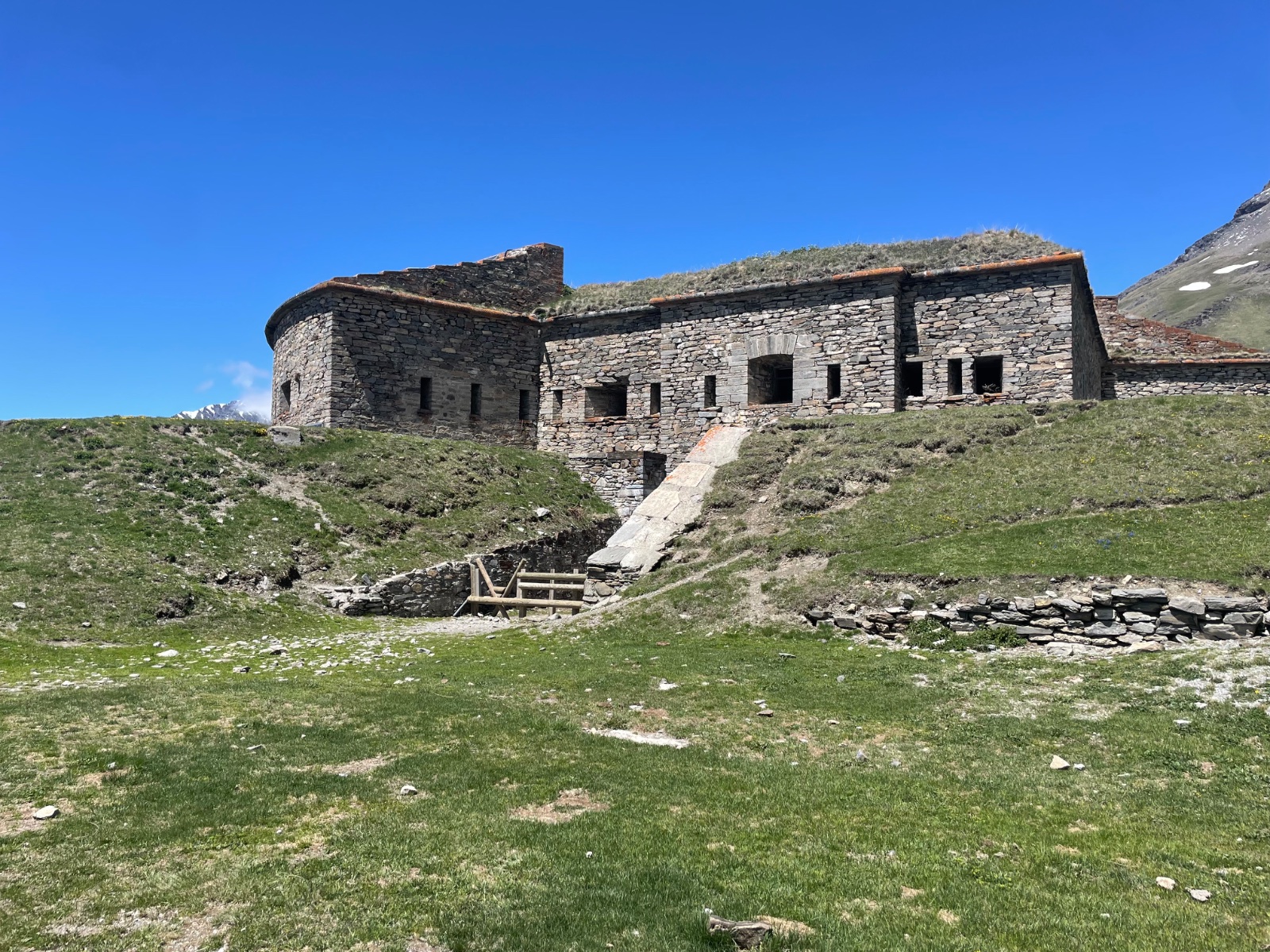IMG_5079.jpeg