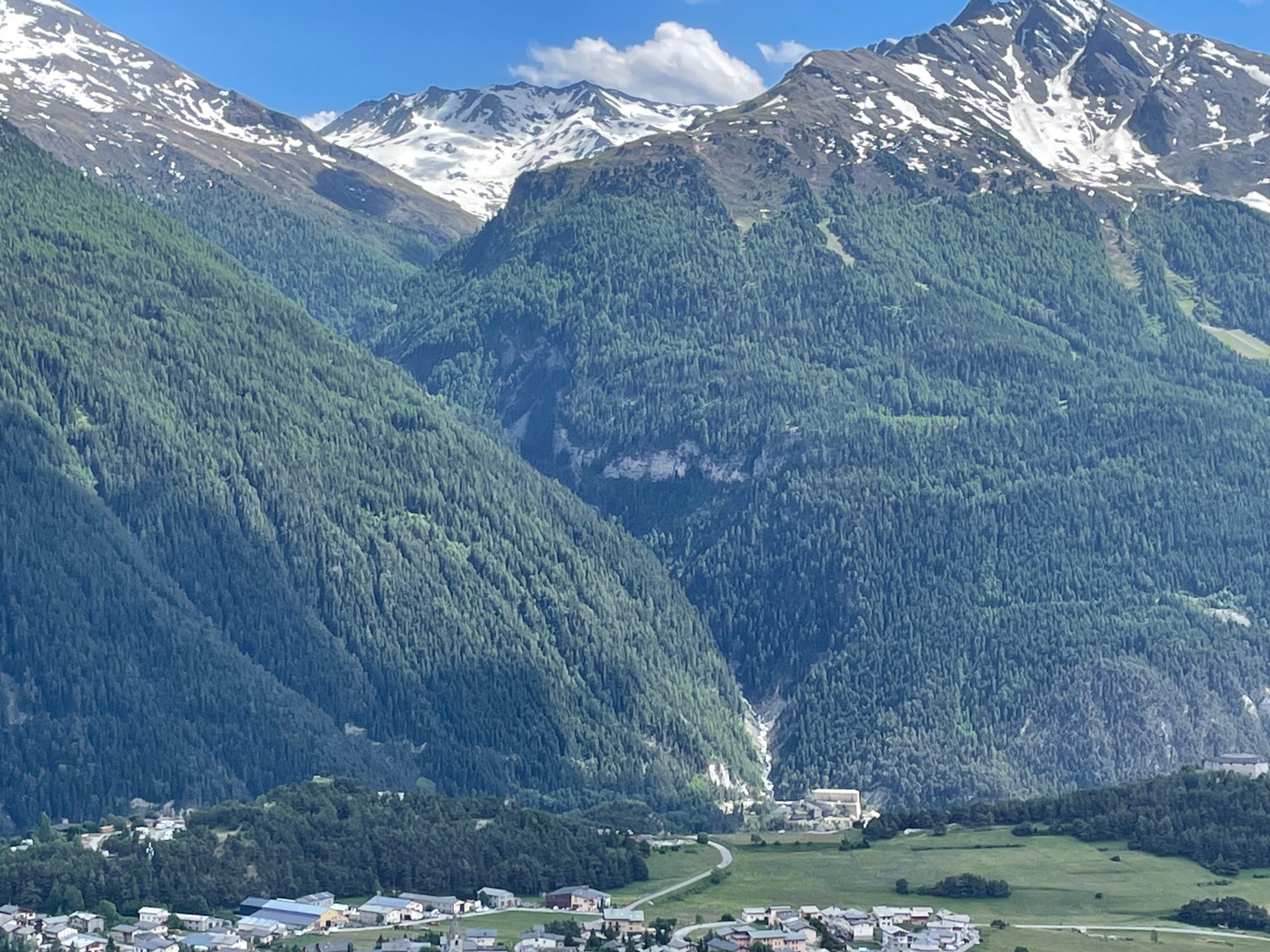 IMG_5129.jpeg