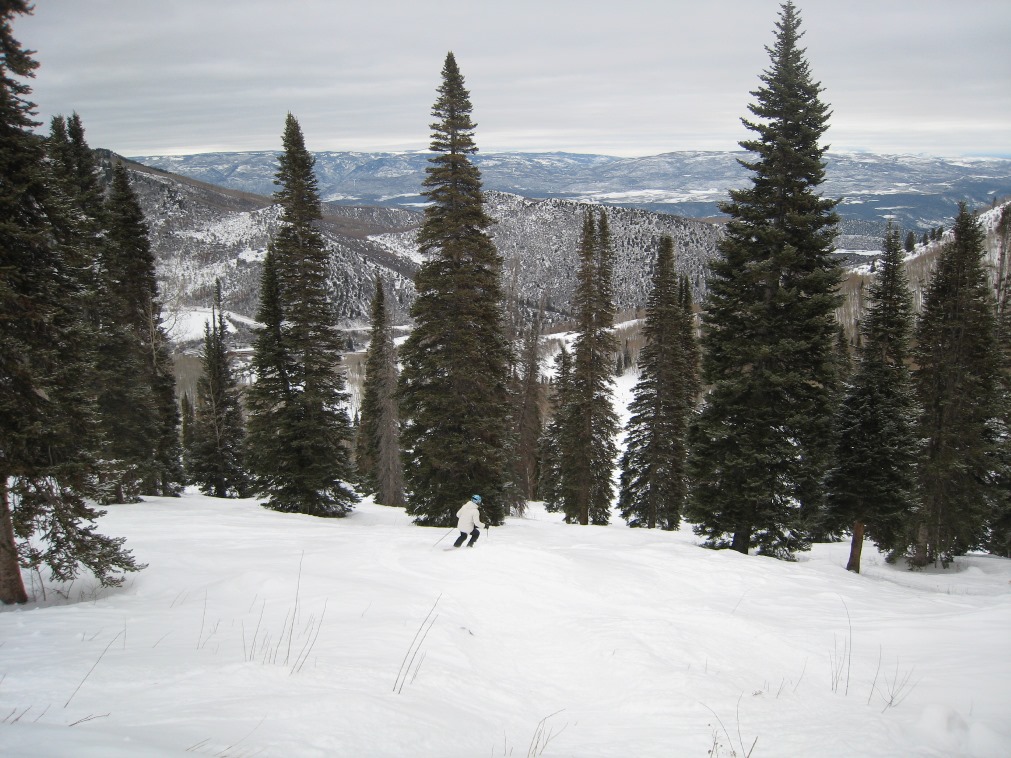 IMG_5154.JPG