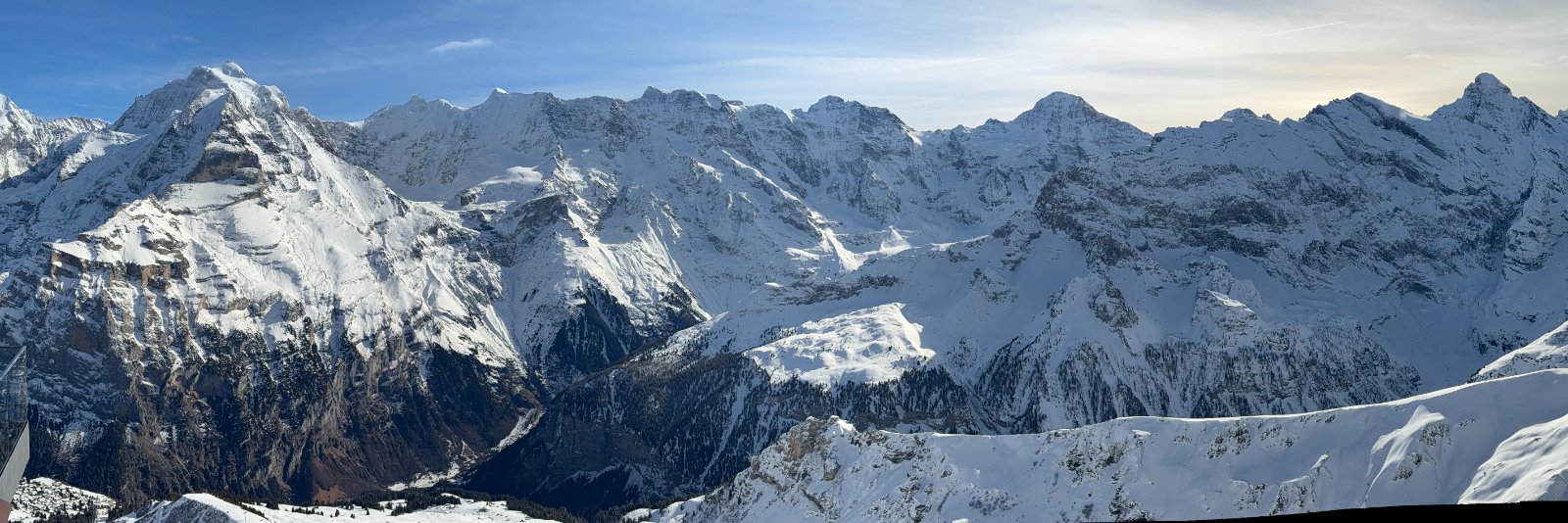 IMG_5305.jpg
