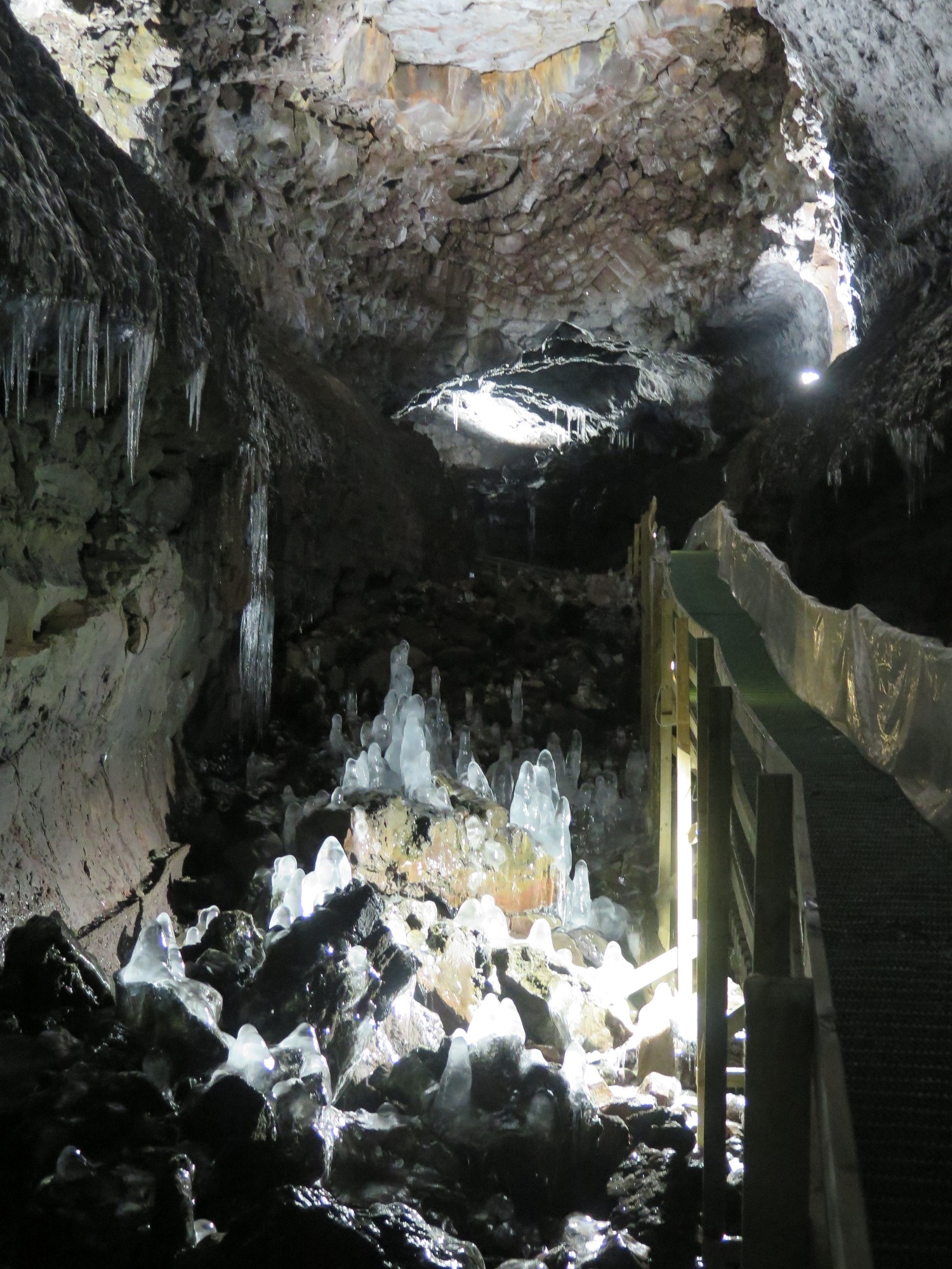 IMG_5412.JPG