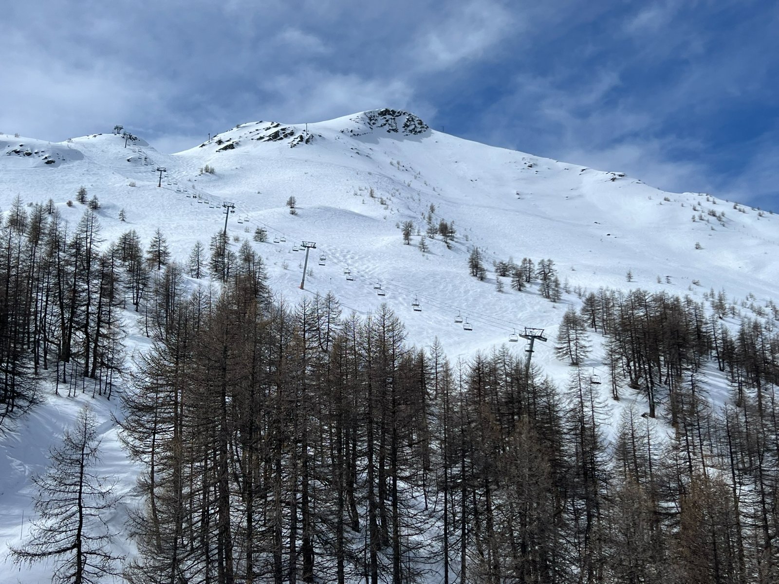 IMG_5539.JPEG