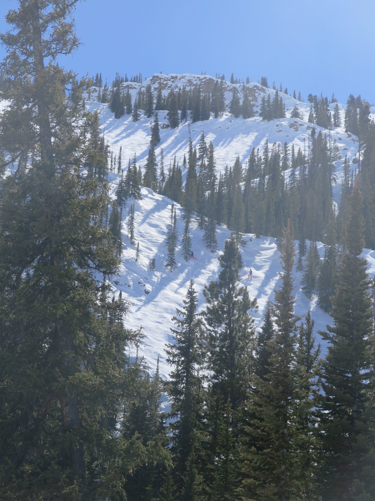 IMG_5589.JPG