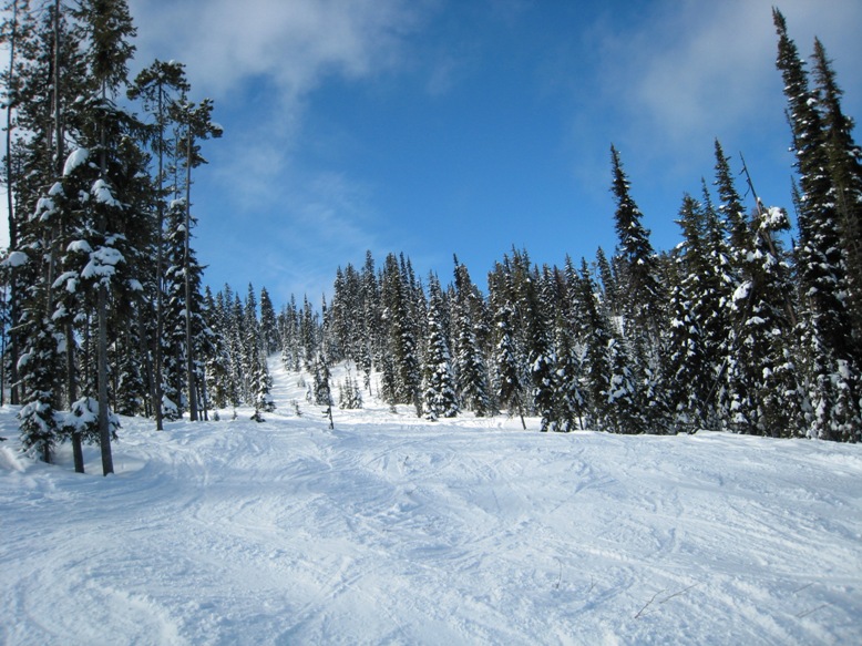 IMG_5701.JPG