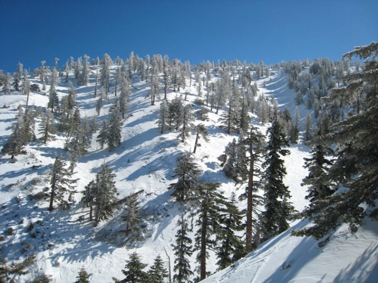 IMG_5808.JPG