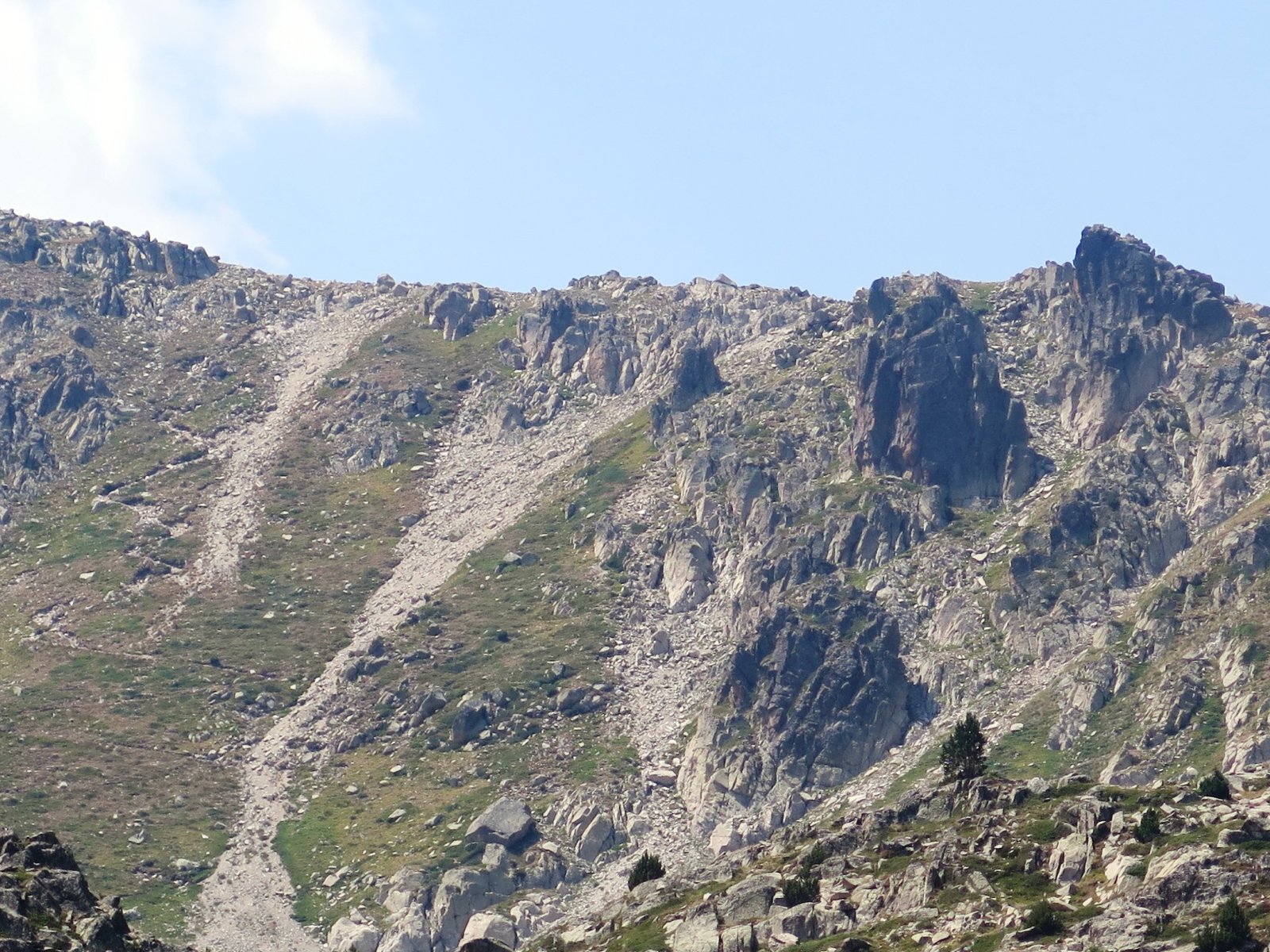 IMG_5921.JPG