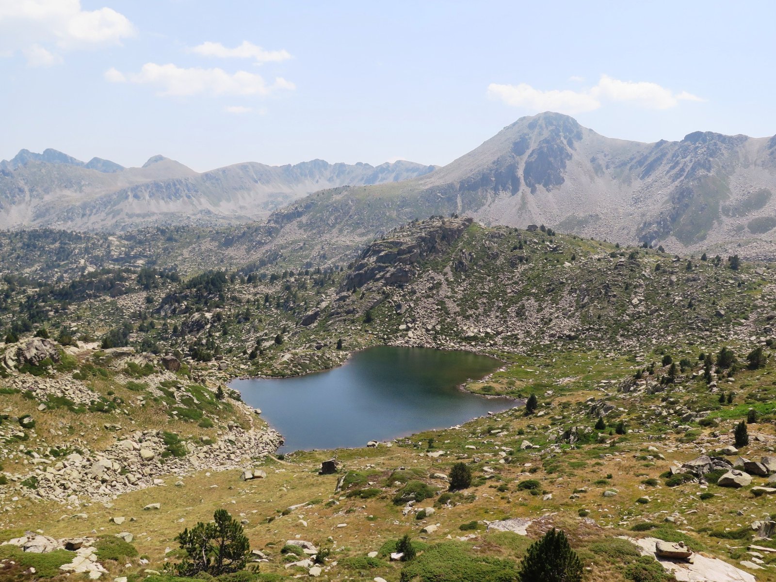IMG_5931Meligar.JPG