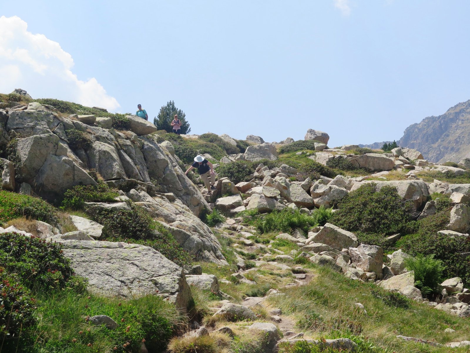 IMG_5949.JPG
