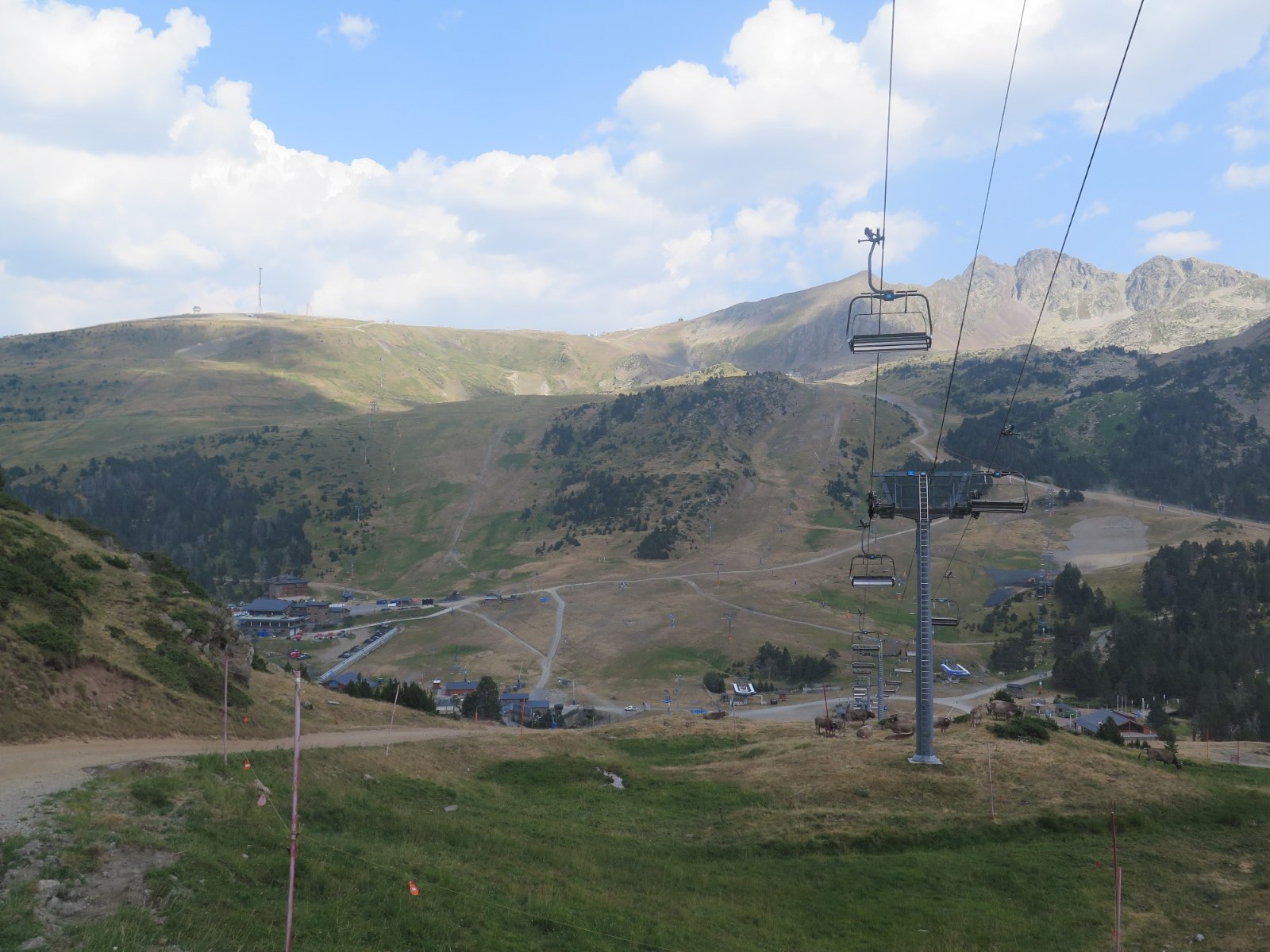 IMG_5972.JPG