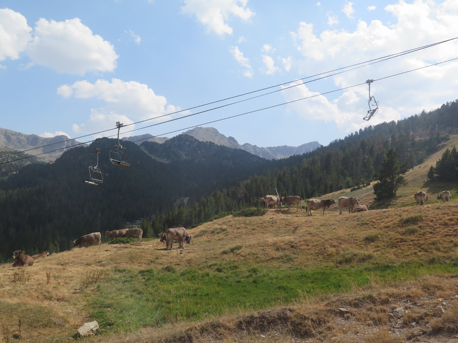 IMG_5973.JPG