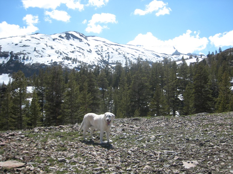 IMG_6281.JPG