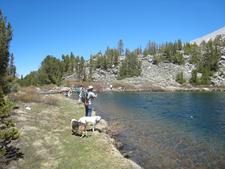 IMG_6338.JPG