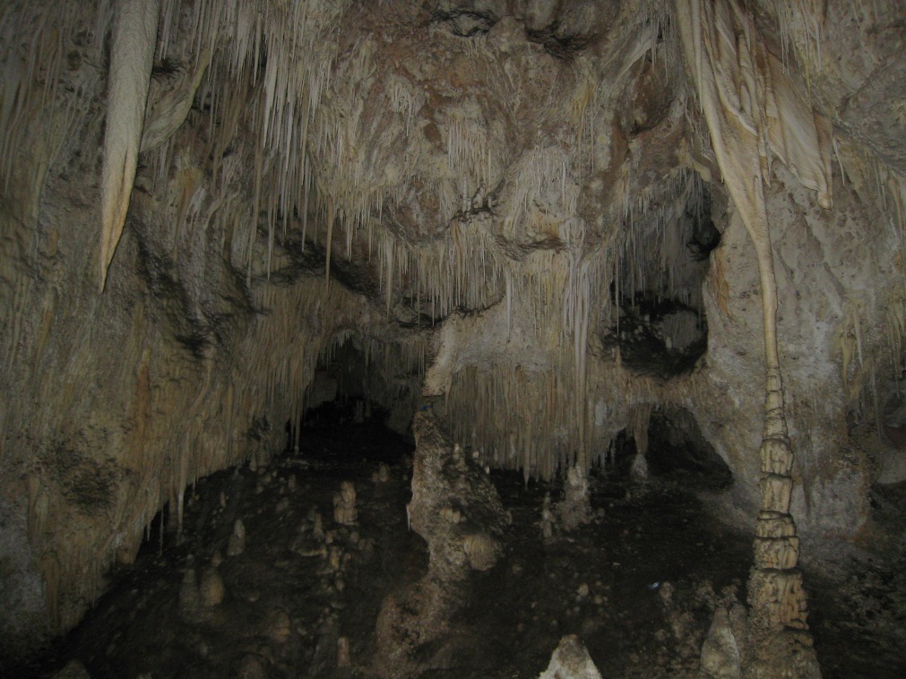 IMG_6611.JPG