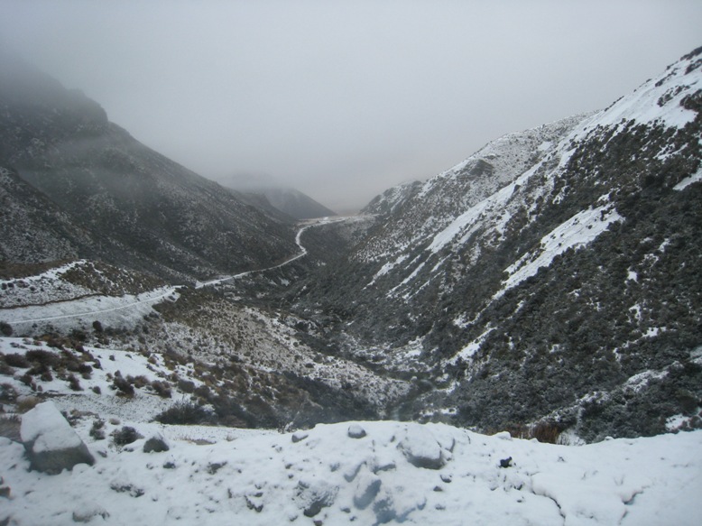 IMG_6825.JPG