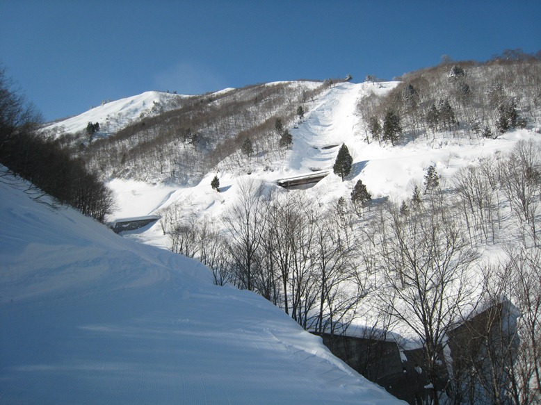 IMG_7540.JPG