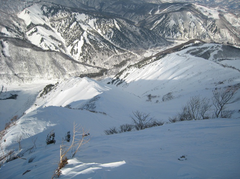 IMG_7561.JPG