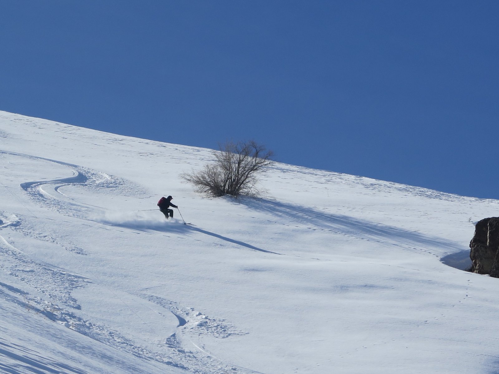IMG_7787.JPG