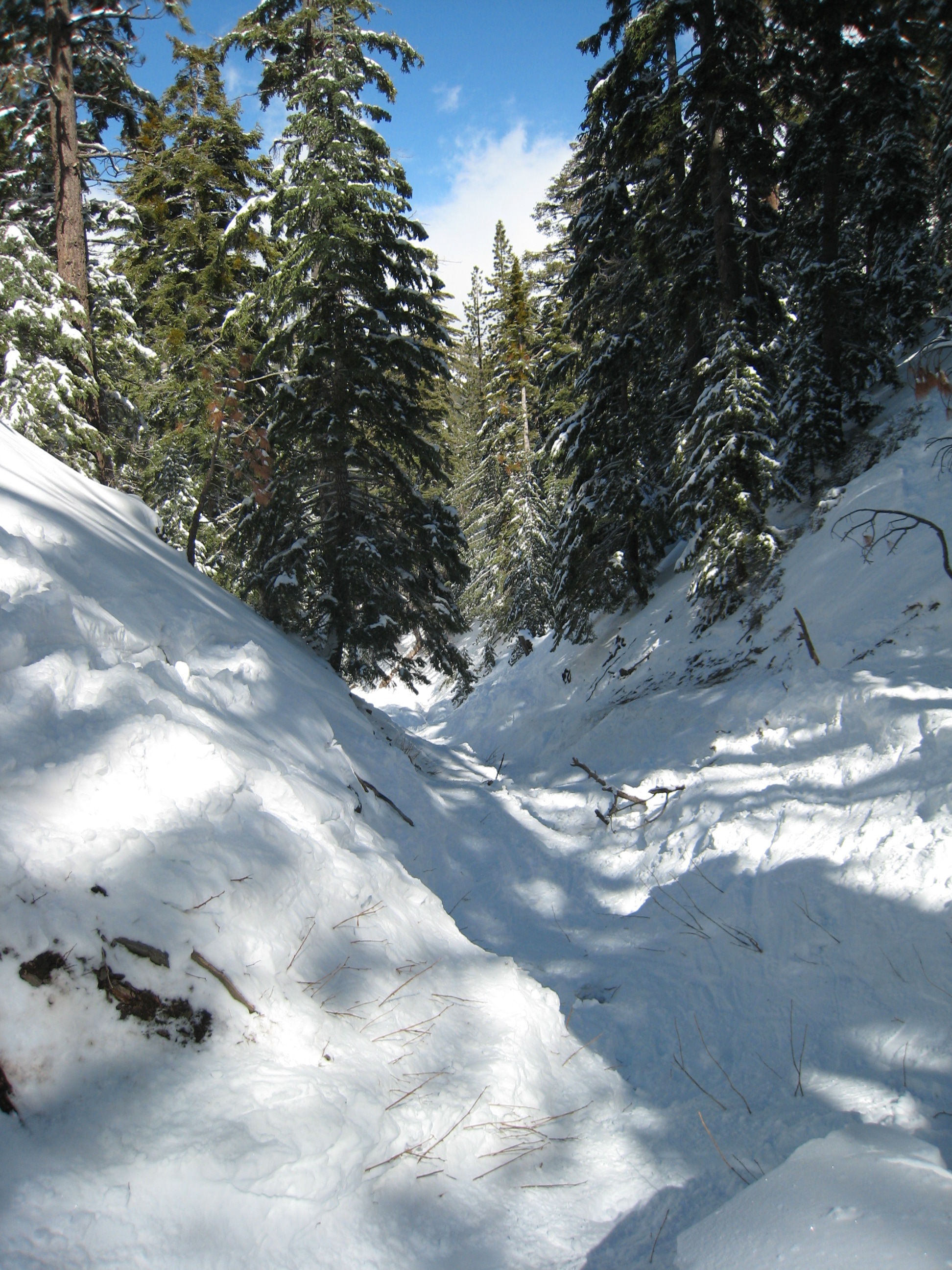 IMG_7799.JPG