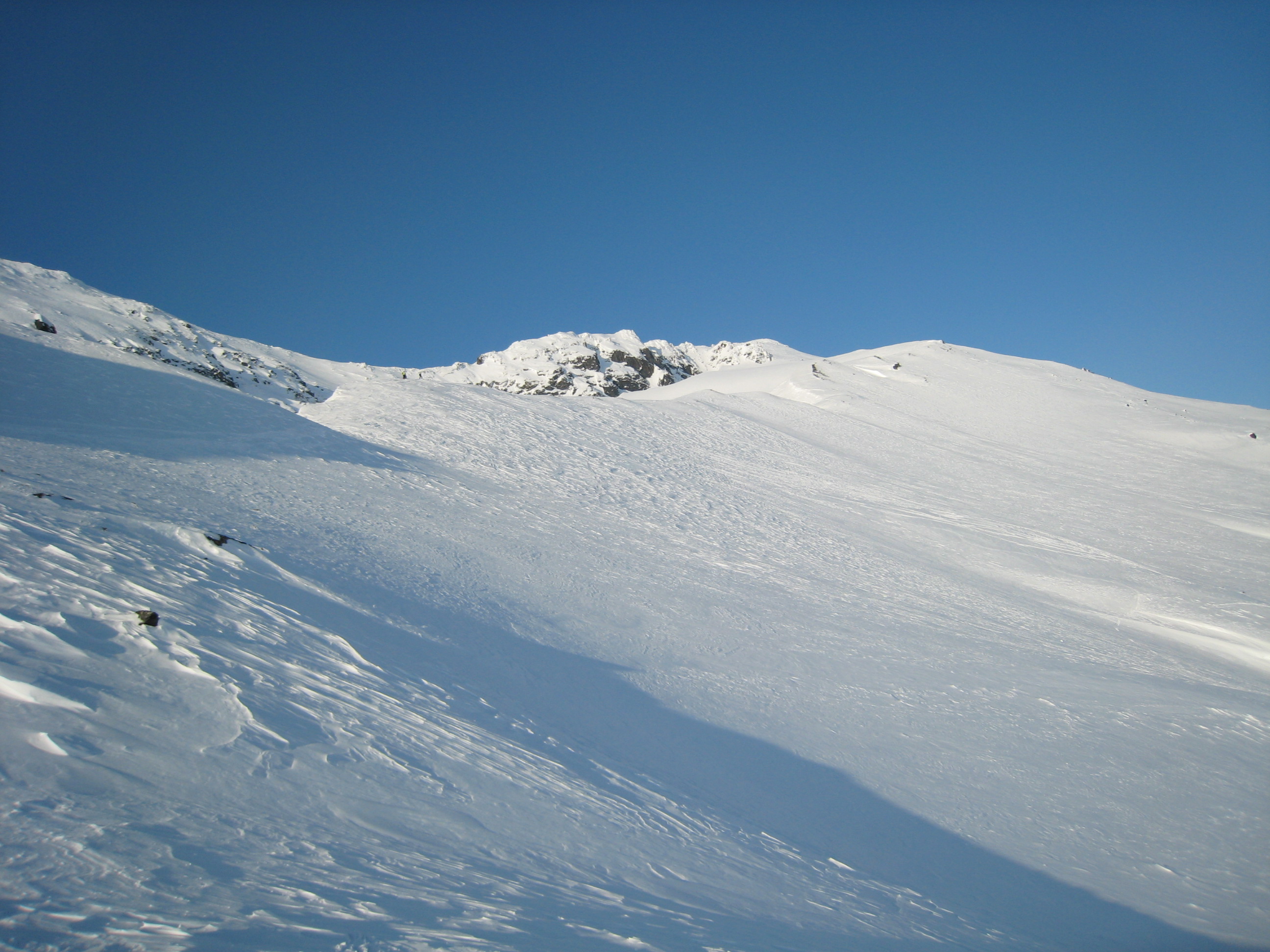 IMG_7854.JPG