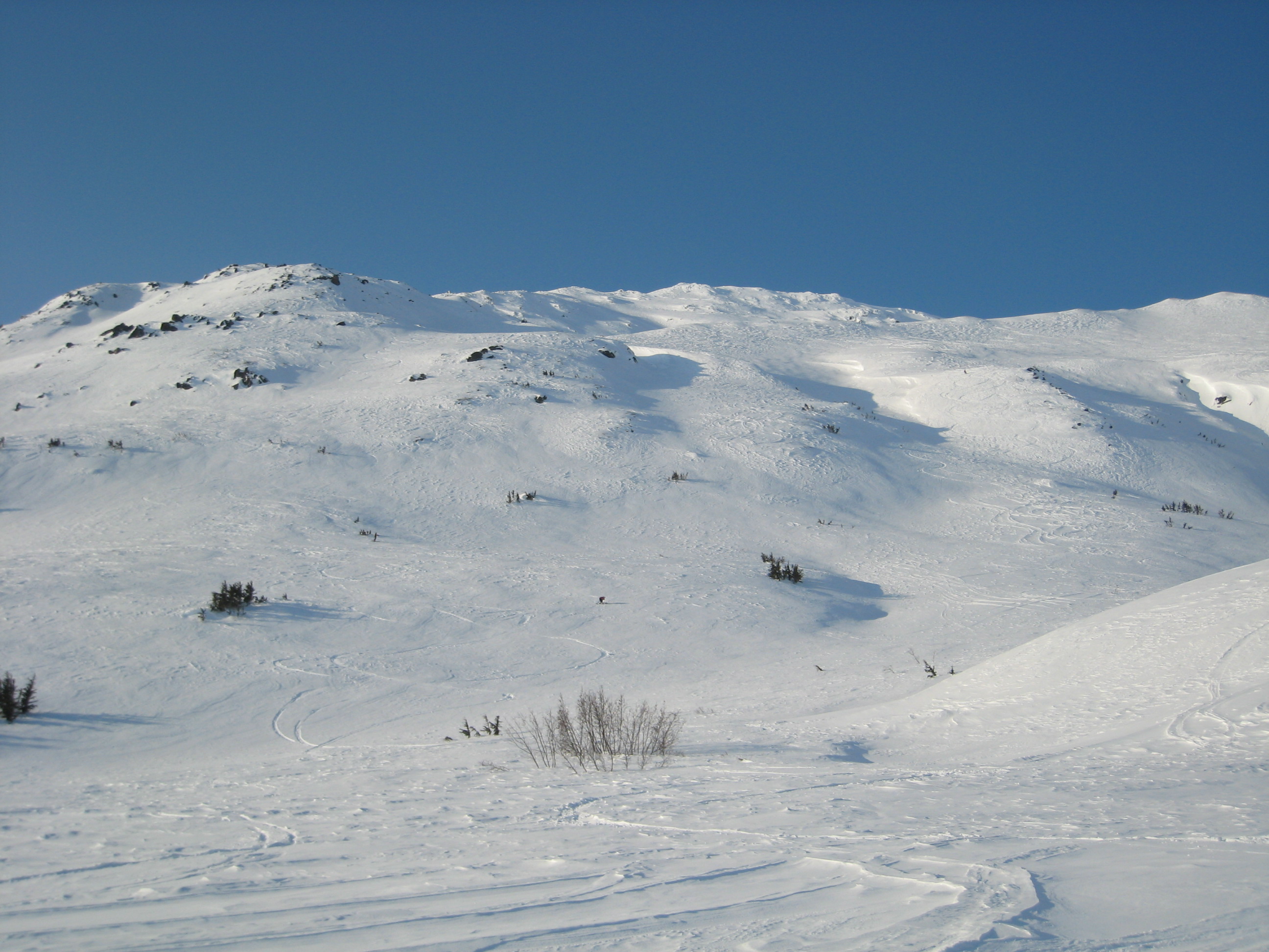 IMG_7856.JPG