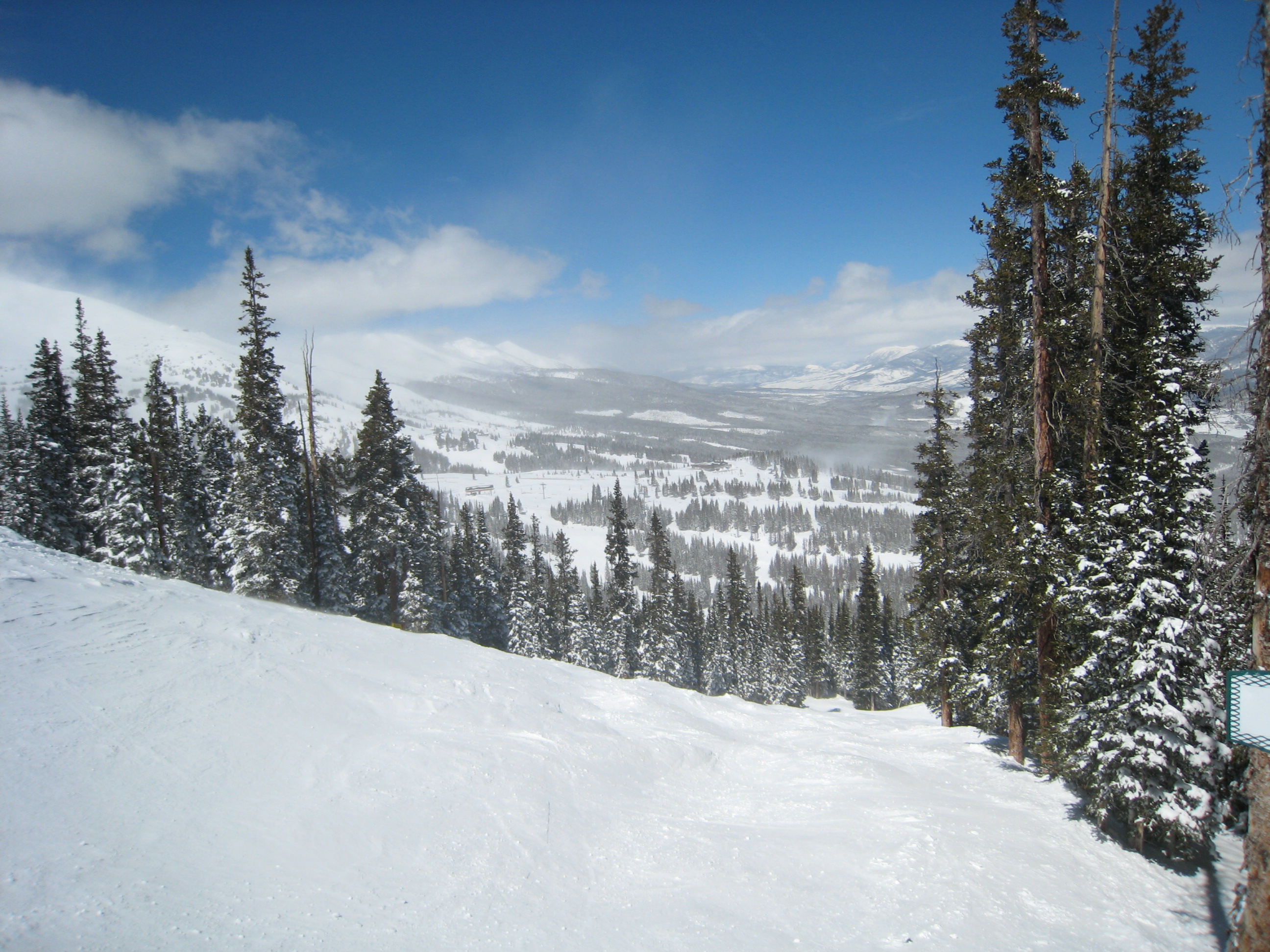 IMG_8287.JPG